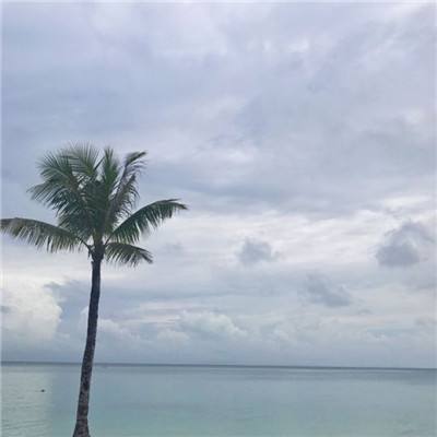 天天魏蜀百度版下载